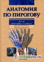 Анатомия по Пирогову: Атлас анатомии человека. В 3-х томах. Том 1: Верхняя конечность. Нижняя конечность (+ CD-ROM)