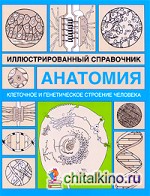 Анатомия: Иллюстрированный справочник. Клеточное и генетическое строение человека