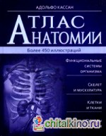 Атлас анатомии: Более 450 иллюстраций
