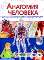 Анатомия человека: Детская иллюстрированная энциклопедия