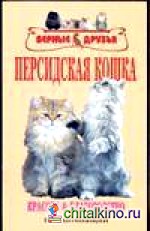 Персидские кошки