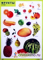 Фрукты и ягоды: Плакат