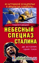 Небесный спецназ Сталина: Из штрафной эскадрильи в «крылатые снайперы»