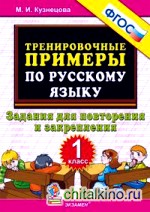 Тренировочные примеры по русскому языку: 1 класс. Задания для повторения и закрепления. ФГОС