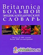 Britannica: Большой энциклопедический словарь