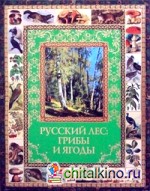 Русский лес: грибы и ягоды