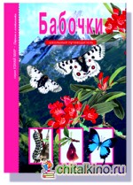 Бабочки: Школьный путеводитель