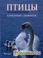Птицы европейской части России: Карманный справочник