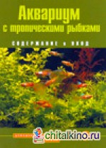 Аквариум с тропическими рыбками