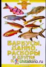 Барбусы, данио, расборы и другие карповые