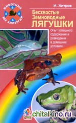 Бесхвостые земноводные: Лягушки
