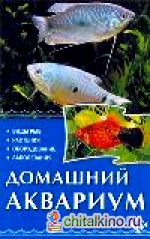 Домашний аквариум