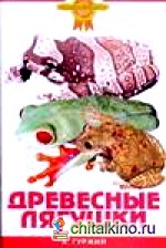 Древесные лягушки