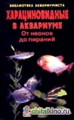 Харациновидные в аквариуме: От неонов до пираний