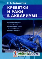 Креветки и раки в аквариуме
