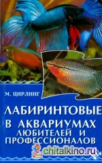 Лабиринтовые в аквариумах любителей и профессионалов