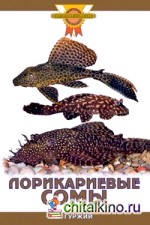 Лорикариевые сомы