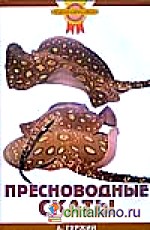 Пресноводные скаты