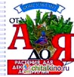 Растения для декоративного аквариума