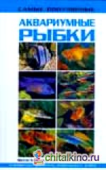 Самые популярные аквариумные рыбки
