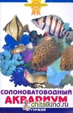 Солоноватоводный аквариум