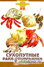 Сухопутные раки-отшельники