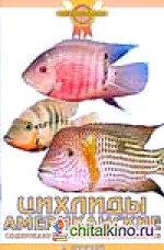 Цихлиды американские: Содержание, кормление, разведение