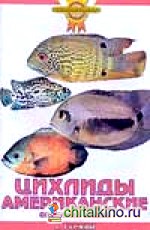 Цихлиды американские: Описание видов