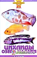 Цихлиды озера Малави