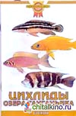 Цихлиды озера Танганьика