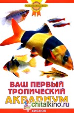 Ваш первый тропический аквариум