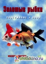 Золотые рыбки: Содержание и уход