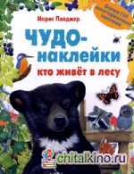 Чудо-наклейки: Кто живет в лесу. Более 150 многоразовых наклеек