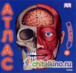 3D атлас человеческого тела