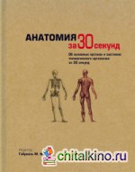 Анатомия за 30 секунд
