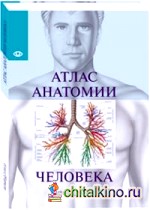 Атлас анатомии человека