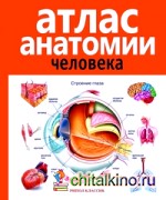 Атлас анатомии человека