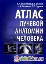 Атлас лучевой анатомии человека