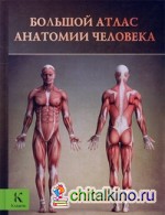 Большой атлас анатомии человека