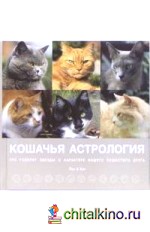Кошачья астрология: Звезды о характере вашего пушистого друга