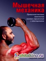 Мышечная механика