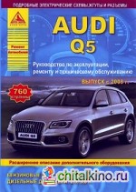 Audi Q5: Выпуск с 2008 г. Руководство по эксплуатации, ремонту и техническому обслуживанию, расширенное описание дополнительного оборудования