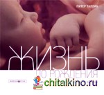 Жизнь до рождения