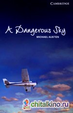 A Dangerous Sky