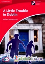 A Little Trouble in Dublin