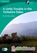 A Little Trouble in the Yorkshire Dales