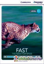 Fast: Need for Speed + Online Access