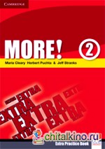 More! Level 2 Extra Practice Book