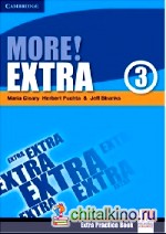 More! Level 3 Extra Practice Book