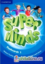 Super Minds 1: Flashcards